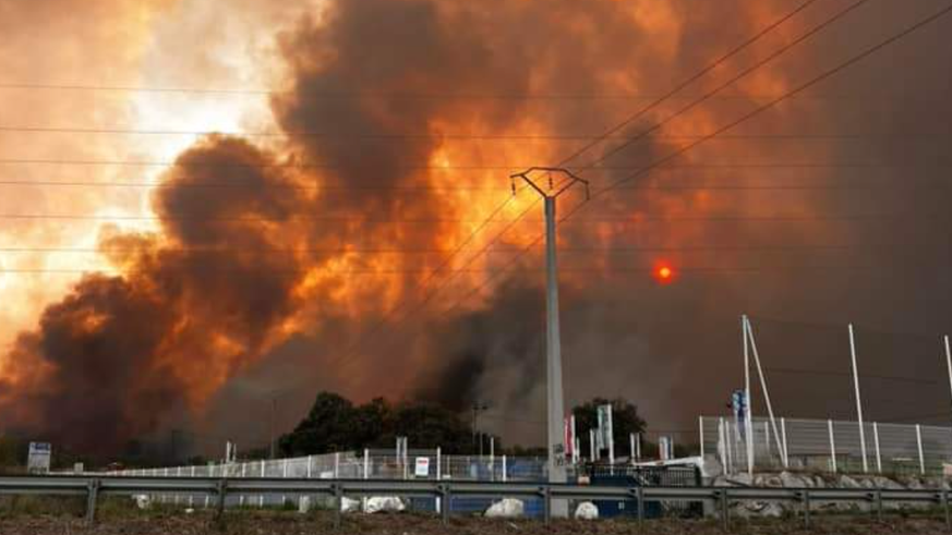 Incendie dans les Pyrénées-Orientales: 3000 campeurs évacués. La situation s&#039;est rapidement envenimée dans le département des Pyrénées-Orientales, dans le sud de la France