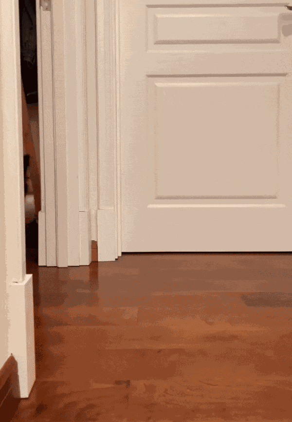 GIF animé