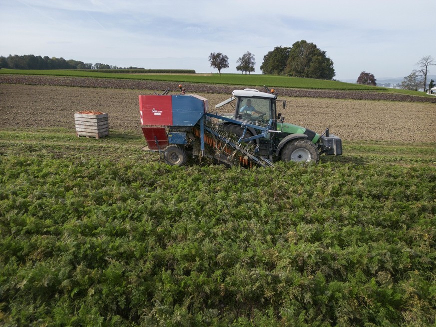 Moins de pesticides dans l&#039;agriculture suisse, mais à quel prix (archives 2023)?