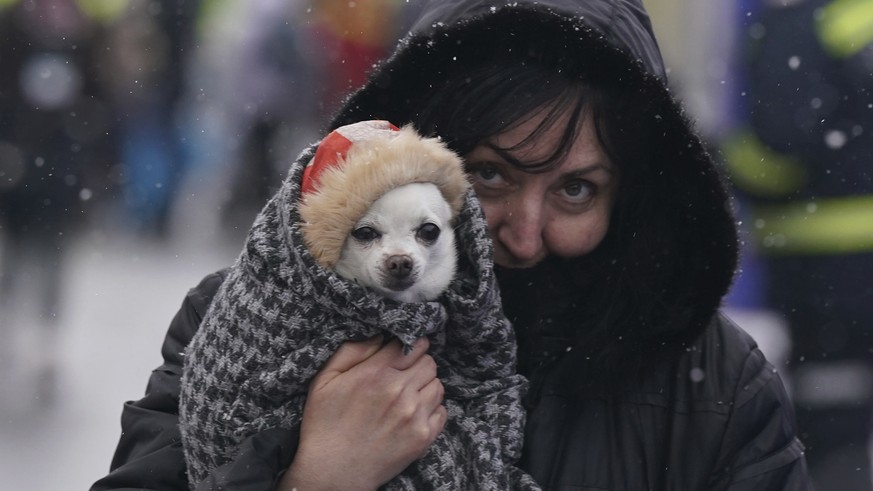 A woman carries her dog across the border from Ukraine to Siret, Romania, Wednesday, March 2, 2022, amid Russia� ?s invasion of Ukraine. (AP Photo/Fernando Llano)