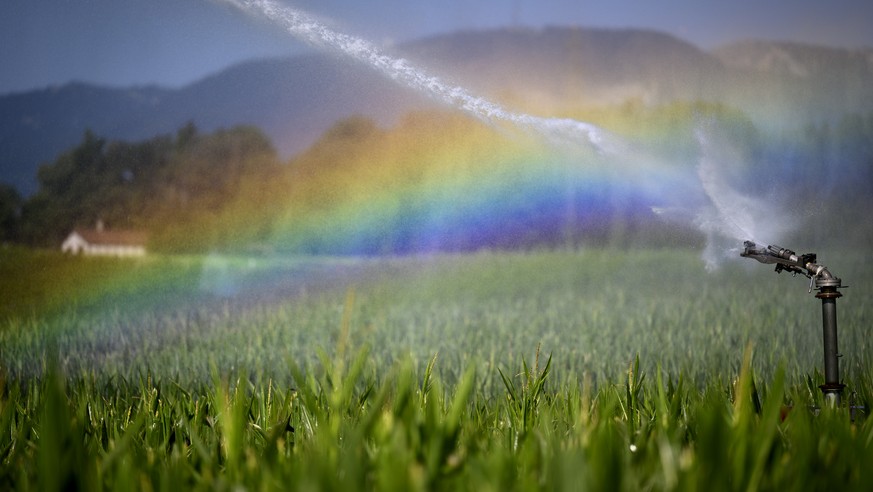 De l'eau du Lac Leman arrose une parcelle agricole de Mais en creant un arc-en-ciel lors d'une periode de secheresse et de canicule en ete ce lundi 18 juillet 2022 a Gland. (KEYSTONE/Laurent ...