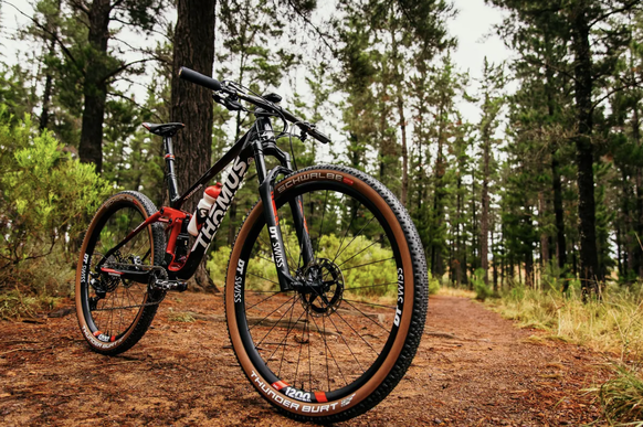 Les premiers vélos pour les amateurs seront livrés à partir de juillet.