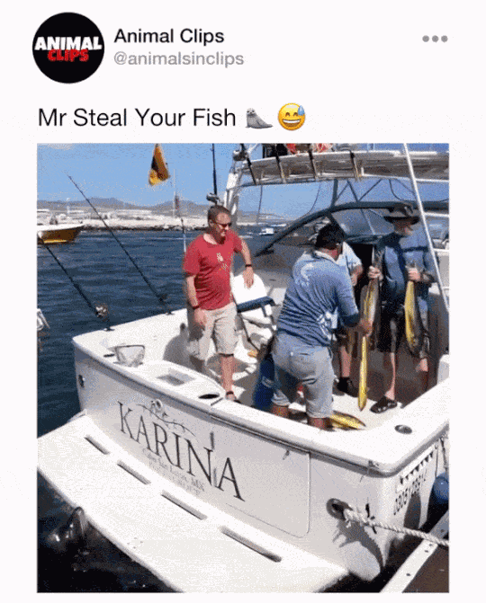 GIF animé