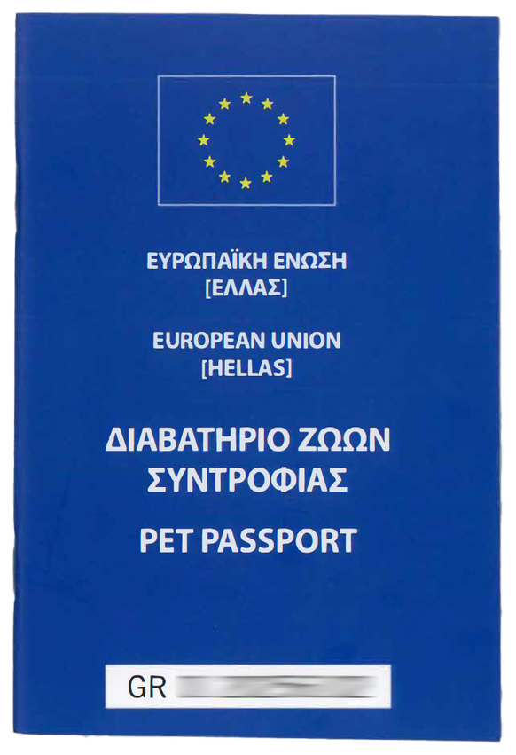 Cinq loulous de Poméranie importés avec des papiers falsifiés.
