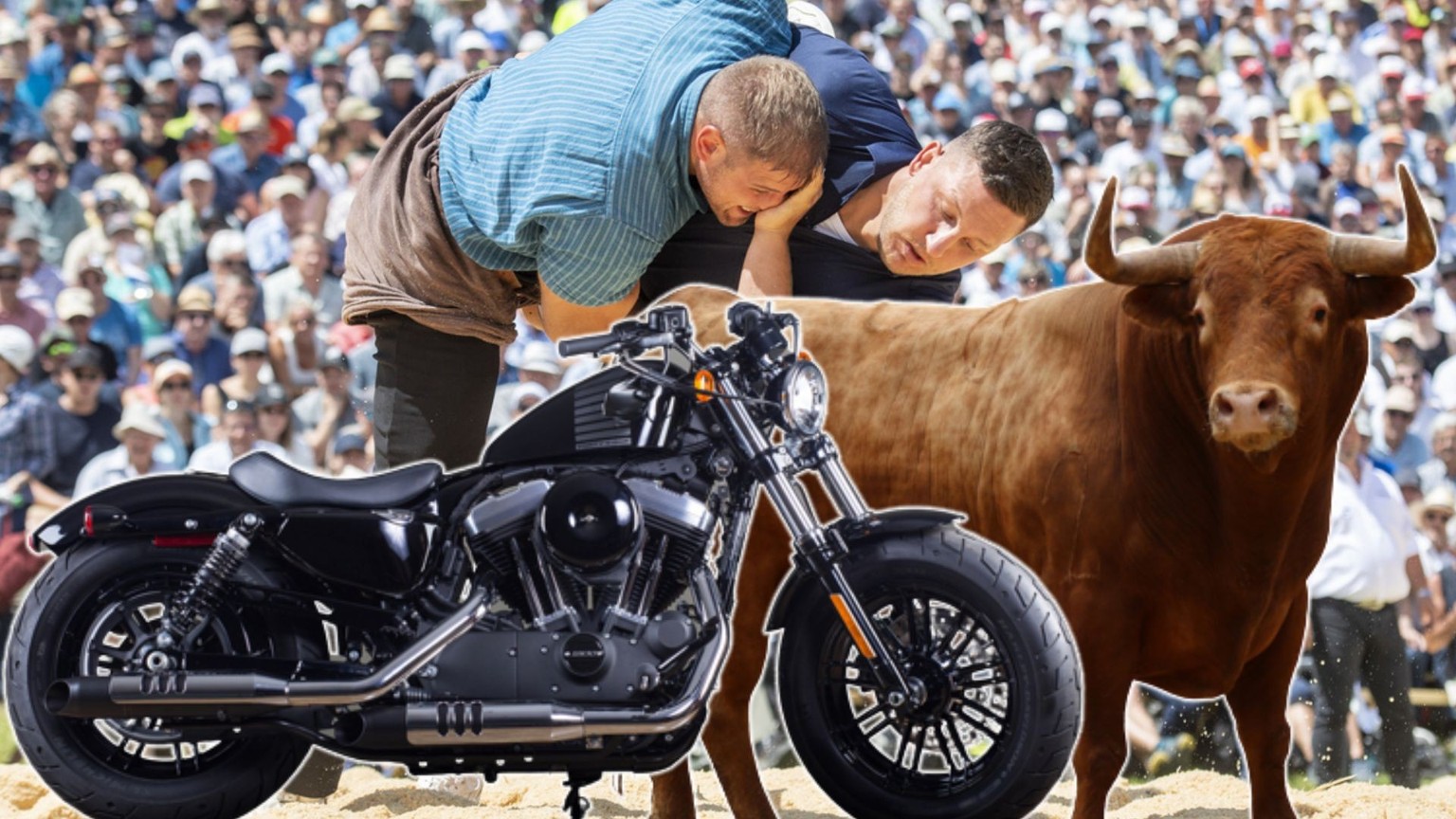 Harley-Davidson et taureaux seront notamment offerts aux lutteurs lors de la fête fédérale à Pratteln (BL).