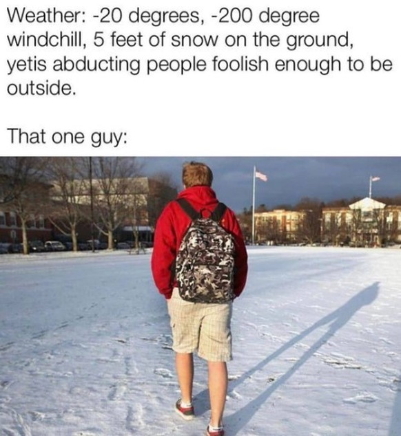 Winter Memes