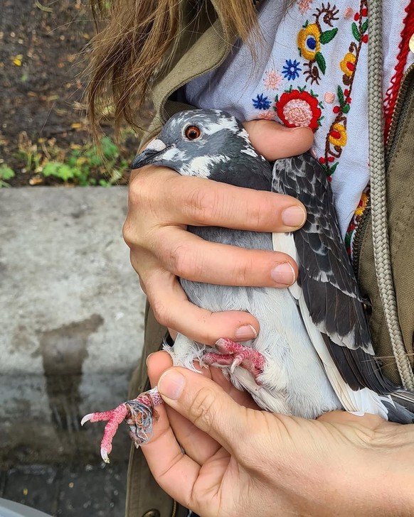 La Néerlandaise Billie Savage gère une page Instagram très influente dans ce domaine.