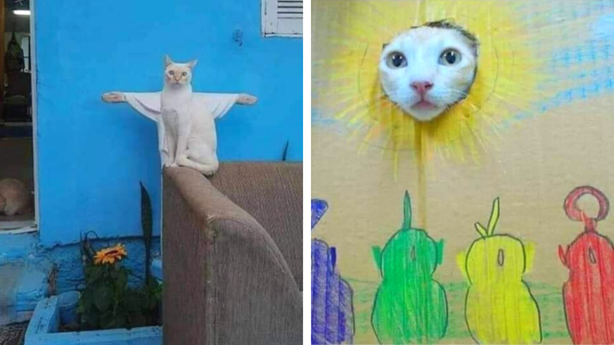 En fonction de l'inclinaison de la Lune, le chat peut prendre tour à tour la forme de Jésus ou du soleil.
