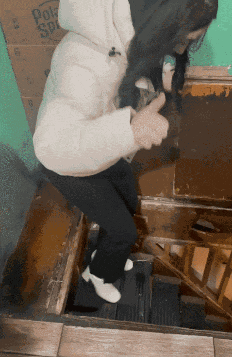 GIF animé