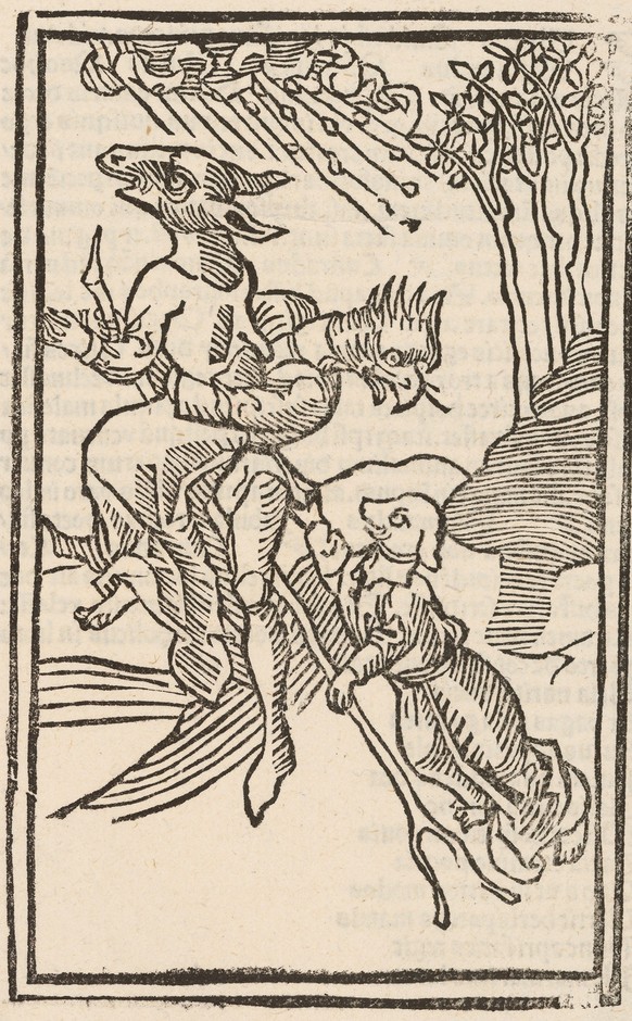 Une sorcière se transforme en animal. Tiré de «De laniis et phitonicis mulieribus» d&#039;Ulrich Molitor, Reutlingen, vers 1490.
https://de.m.wikipedia.org/wiki/Datei:Molitoris_Hexenflug.jpg