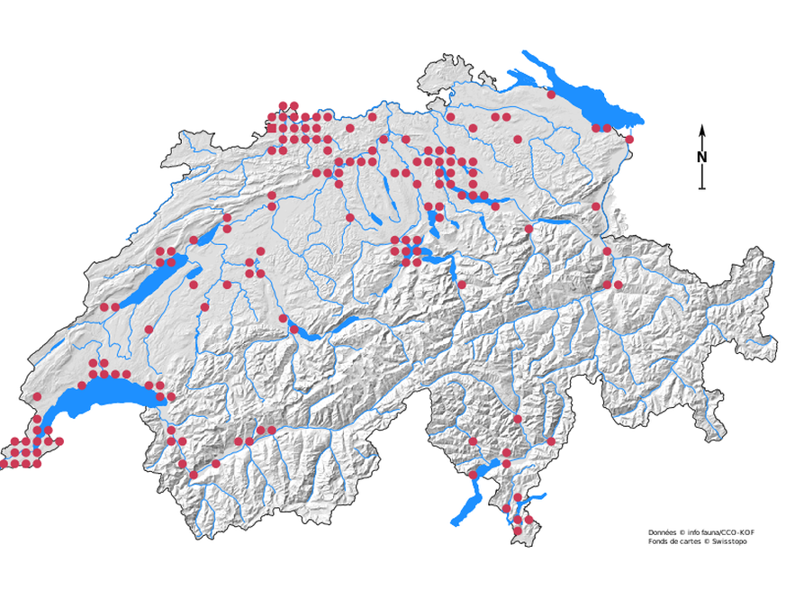 Les points rouges indiquent les zones où l’araignée Nosferatu a été signalée depuis sa première apparition au Tessin en 1998. Ces informations ont été mises à jour en 2022.