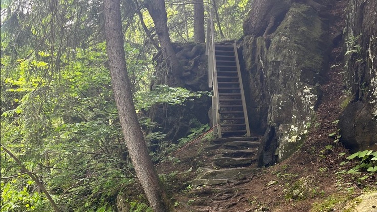 Dans la matinée du dimanche 9 juin 2024, une famille de touristes américains effectuait une balade dans la région des Gorges Mystérieuses à Tête Noire sur la commune de Trient. Lors de celle-ci, une j ...