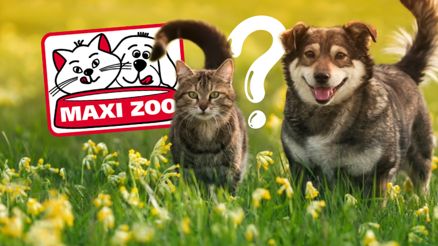 Maxi Zoo va changer de nom et lorgne sur les locaux de Migros