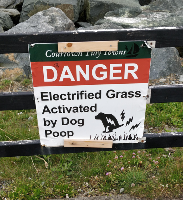 <strong>«Danger: Herbe électrique - activée par les excréments de chien.»</strong>
