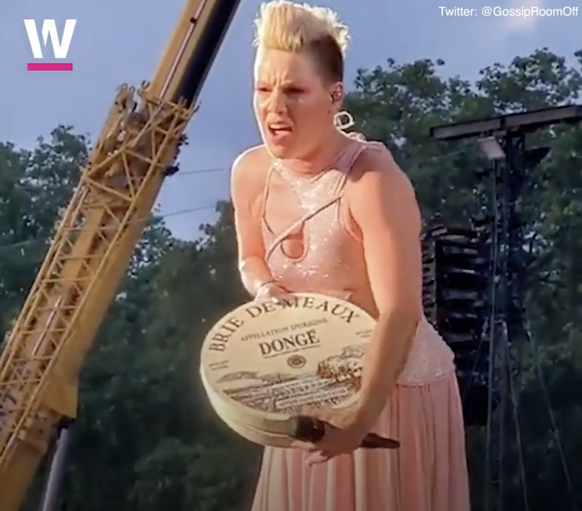 Pink a des fans vraiment créatifs.