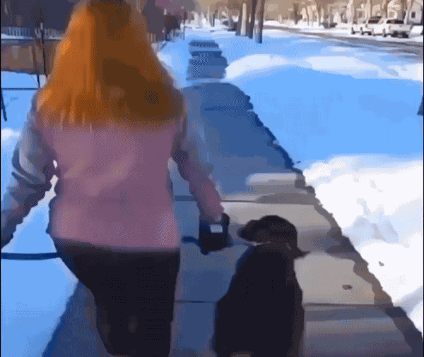 GIF animé
