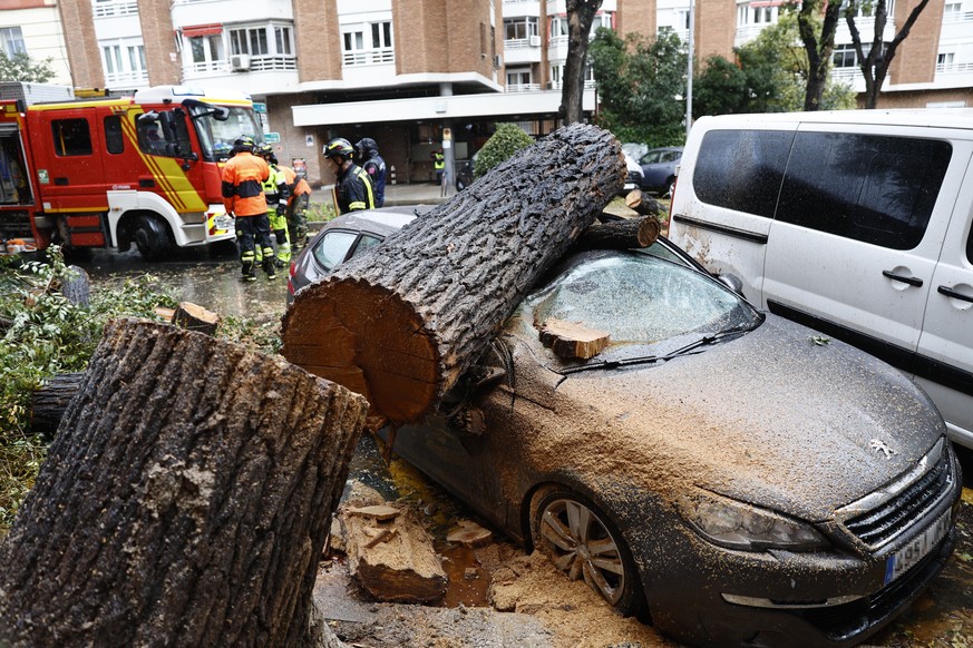 Une voiture écrasée par un tronc d'arbre à Madrid, en Espagne.