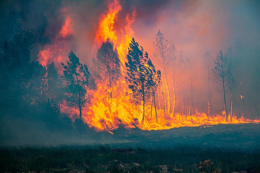 epa10074091 A handout picture made available by the Gironde Fire and Rescue Departmental Service 33 (SDIS 33) shows a pine forest fire in La Teste-de-Buch, France, 15 July 2022 (issued 16 July 2022).  ...