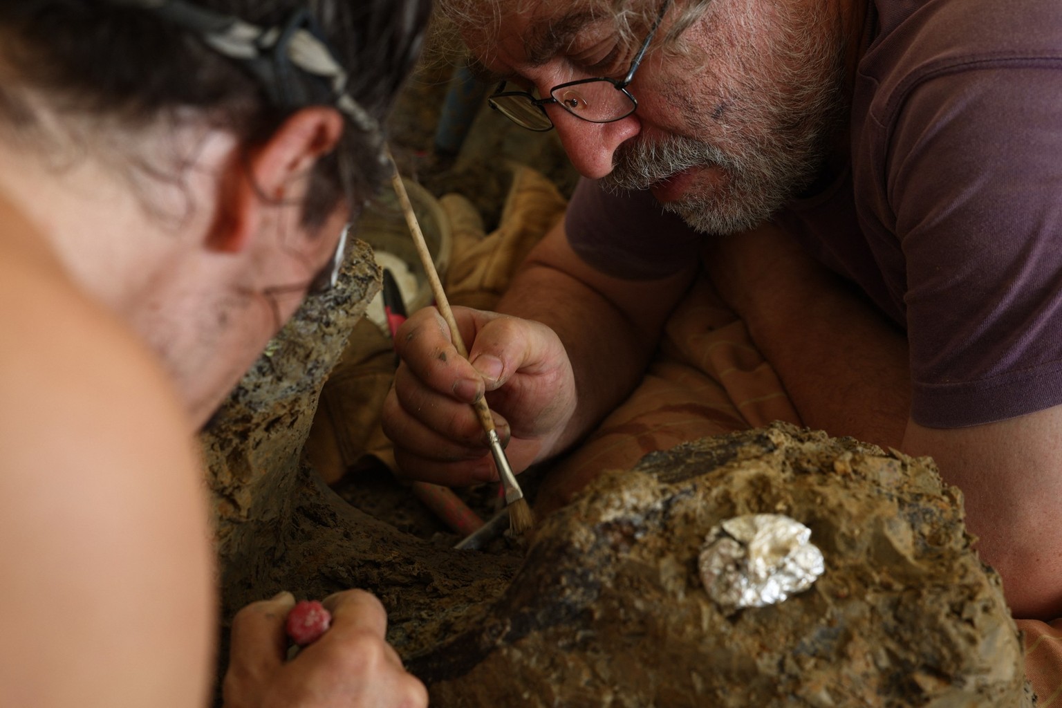 Excavators clear off dirt from a dinosaur fossilized bone at an excavation site in Angeac-sur-Charente, south-western France, on July 19, 2025. The first bones of a new species of these prehistoric gi ...