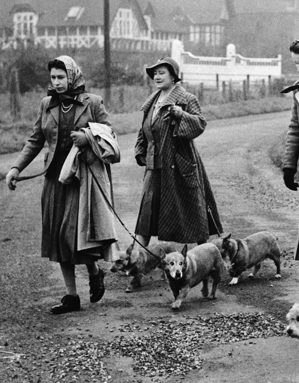 FILE - Britain&#039;s Queen Elizabeth II and the Queen Mother take their Corgi dogs out for a stroll during a visit to the royal stud at Sandringham, England on Nov. 19, 1956. Queen Elizabeth II&#039; ...