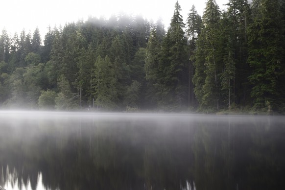 Taken At Lake Sylvia State Park, Montesano, Washington, USA