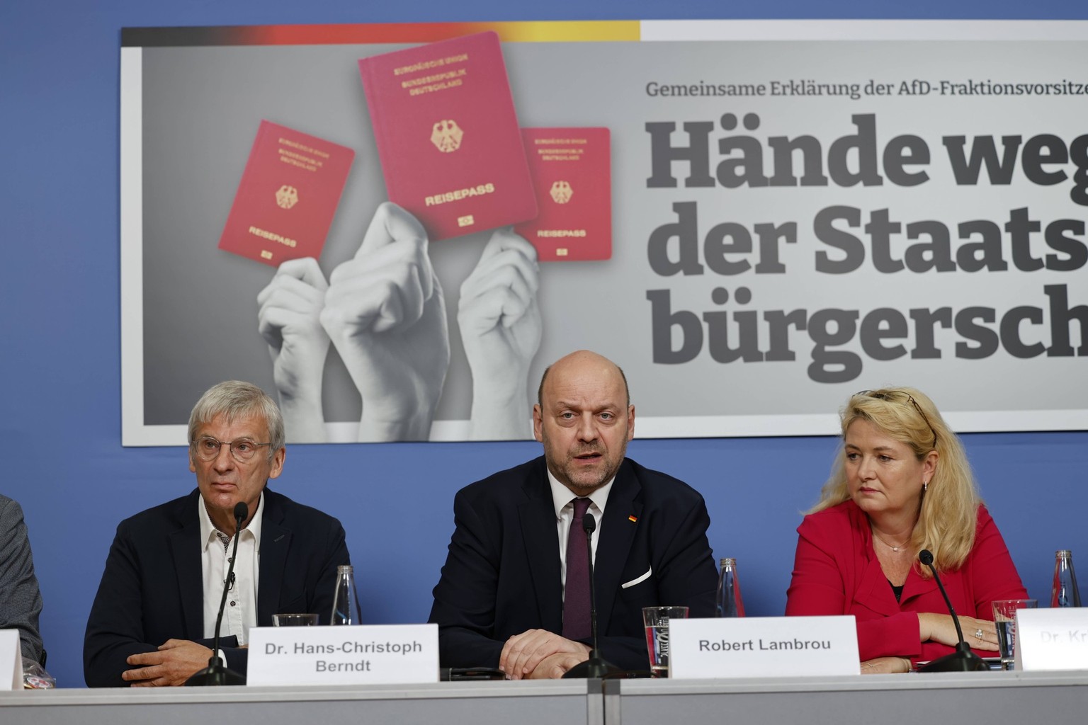 Kristin Brinker, AfD