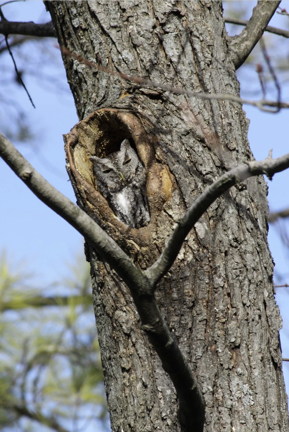 Die lustigsten TIerbilder der Woche