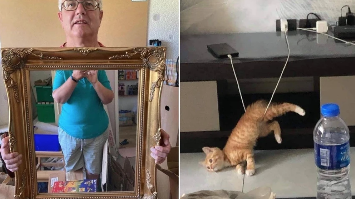 Ils vous ont manqué? Voici les 22 meilleurs fails de la semaine