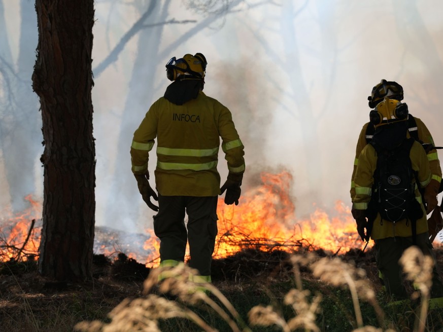 Sapeurs-pompiers luttant contre un incendie en Espagne, mardi.