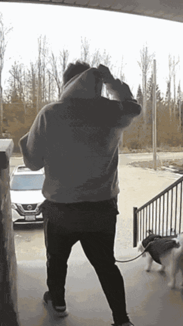 GIF animé