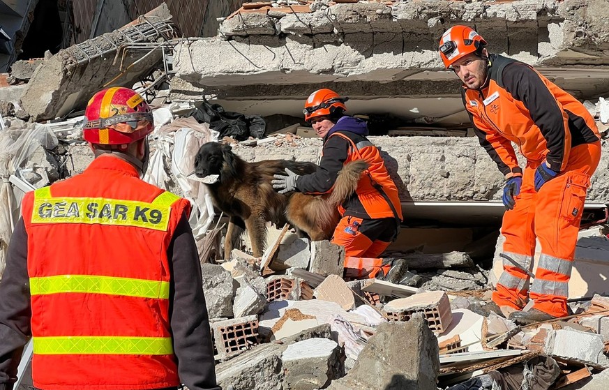 «Les gens meurent sous les décombres»: des chiens suisses aident la Turquie