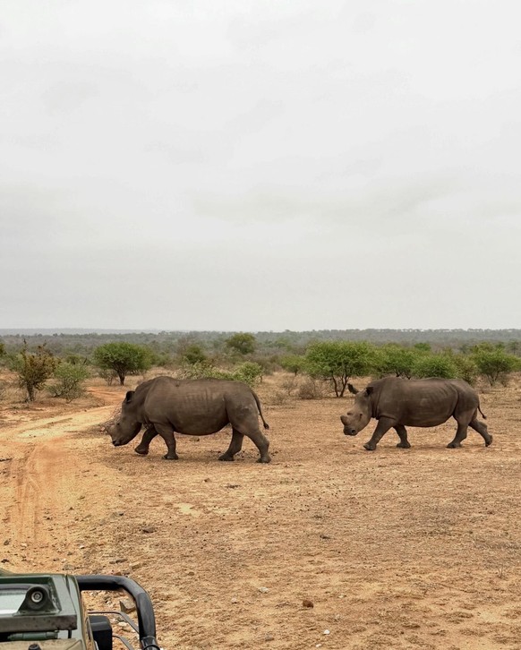 Roger Federer en vacances en Afrique