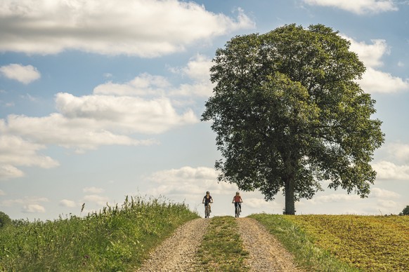 Zwei Frauen fahren mit dem Fahrrad über einen Hügel einen Schotterweg hinunter. Rechts gibt es einen grossen Baum.