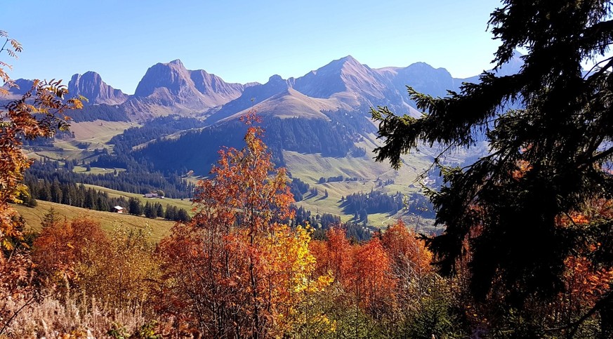 La variété des paysages de la région est bluffante.