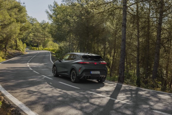 Cupra Raval