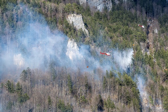 Helikopter bekaempfen mit Wasser einen Waldbrand im Ortsteil Hausen, am Sonntag, 13. Maerz 2022, in Meiringen. Starker Foehn erschwert die Loescharbeiten. (KEYSTONE/Peter Schneider)
