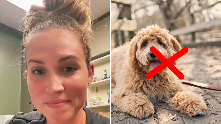 TikTok: Voici les pires races de chiens selon une vétérinaire