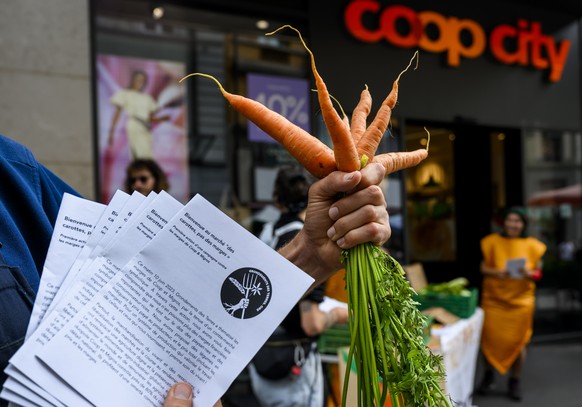 Les activistes ont distribué des tracts explicatifs derrière leur stand avec des carottes et des fenouils.