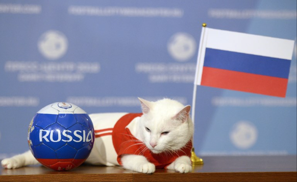 Achille, le pronostiqueur officiel de la Coupe du monde de 2018