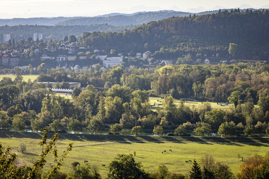 epa13199614 A general view shows an area of the Schachen horse racing track following a shooting, in Aarau, Switzerland, 30 August 2026. One person died and five others were injured after shots were f ...