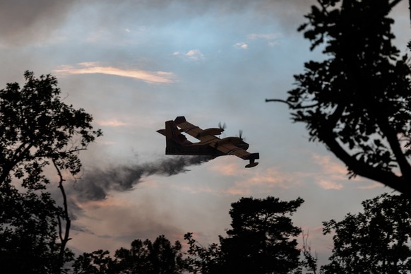 epa13109804 A Canadair firefighter airplane drops water during a fire in the Fontainebleau forest in Acheres-la-Foret, France, 13 July 2026 (issued 14 July 2026). EPA/GAUTHIER BEDRIGNANS