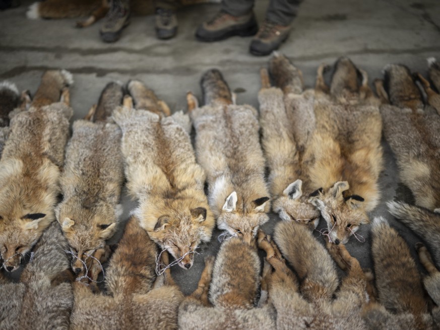 La Suisse doit interdire l&#039;importation de fourrure issue d&#039;animaux ayant