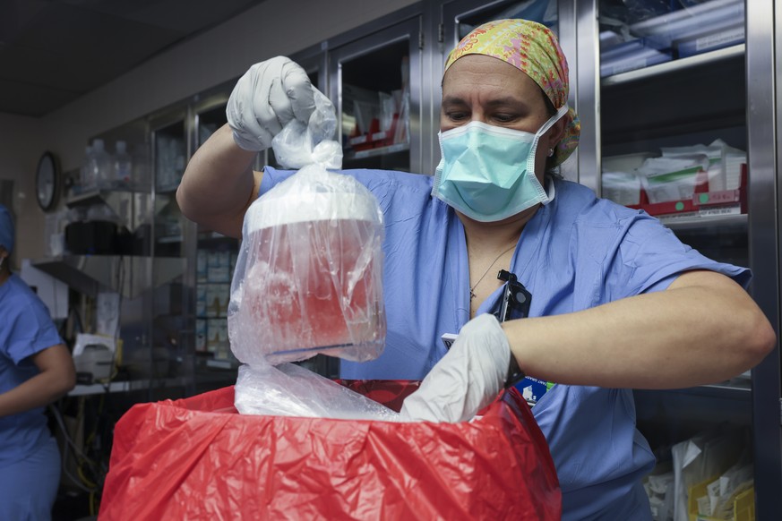 FILE - Melissa Mattola-Kiatos, RN, nursing practice specialist, removes the pig kidney from its box to prepare for transplantation at Massachusetts General Hospital, March 16, 2024, in Boston. Richard ...