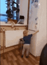 GIF animé