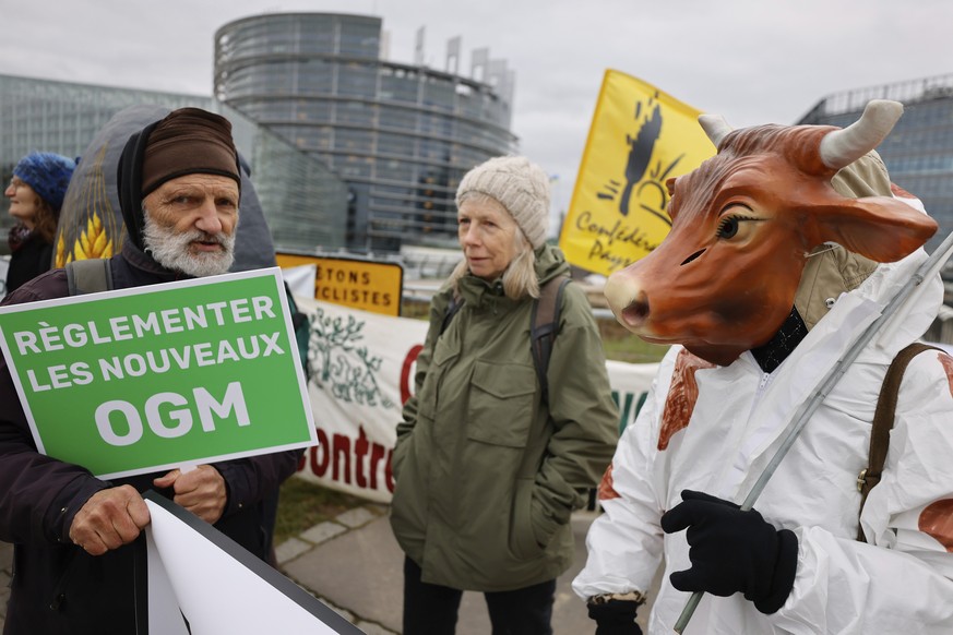 Farmers gather outside the European Parliament for a protest, in Strasbourg, eastern France, Tuesday, Feb. 6, 2024. The European Union&#039;s executive on Tuesday shelved its anti-pesticides proposal  ...