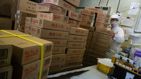 This photo taken on May 15, 2026 shows an employee sorting boxes of packed natto to be shipped at the Kamakurayama Natto production facility in Kamakura, Kanagawa prefecture. The highly nutritious bea ...
