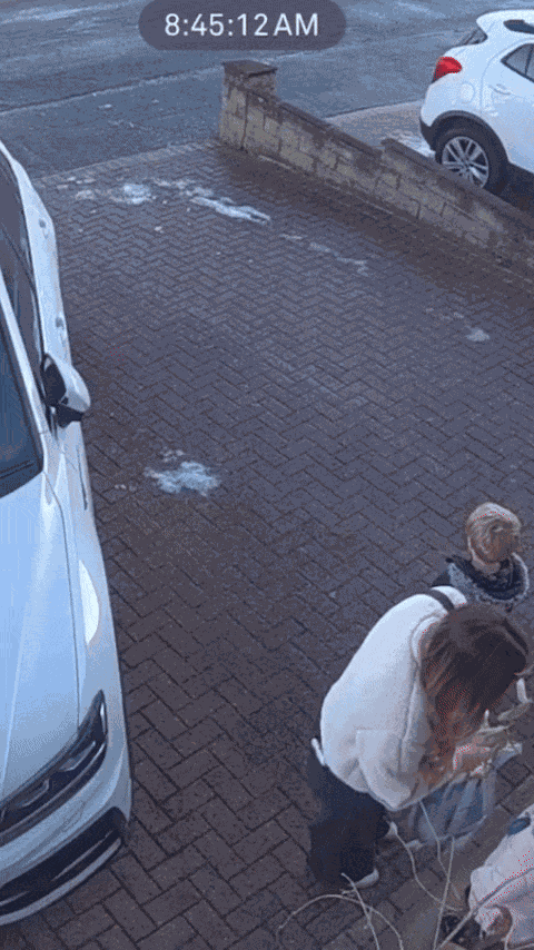 GIF animé