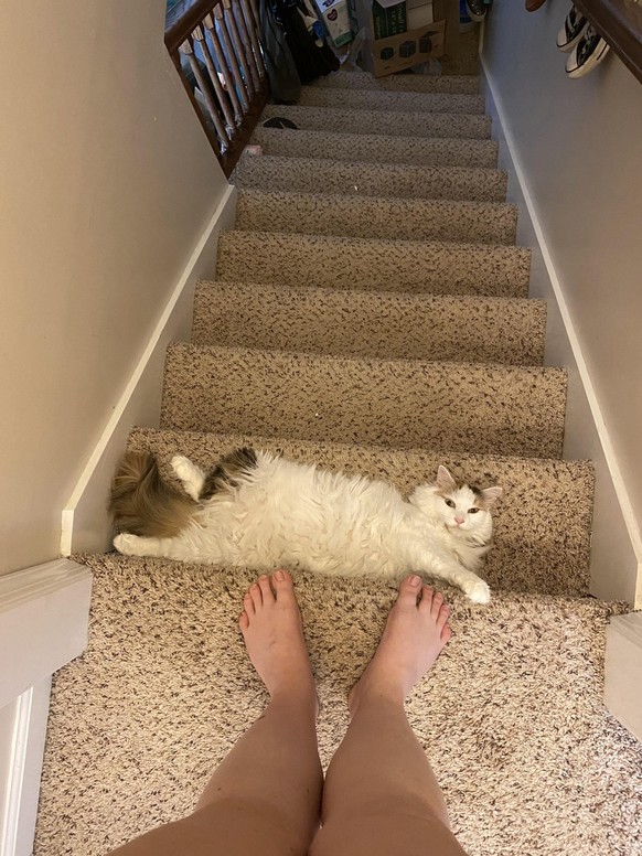 Death Stairs
https://www.facebook.com/groups/1040870849707443