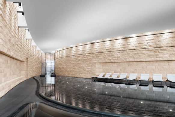 Paracelsus Recovery à Zurich.