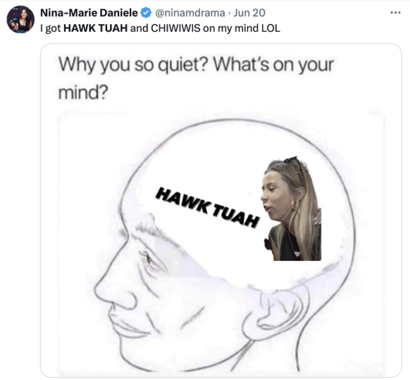 Hawk Tuah Girl Lustige Memes